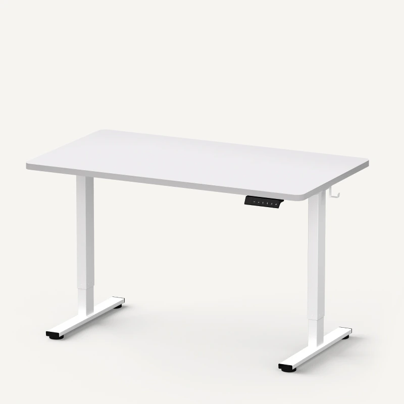 FlexiSpot 48x24 one-piece electric standing desk